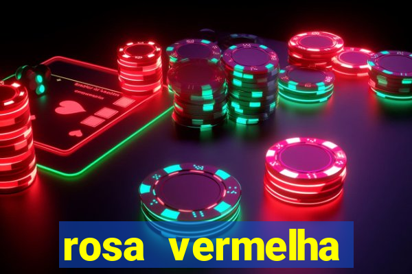 rosa vermelha (letra e cifra)